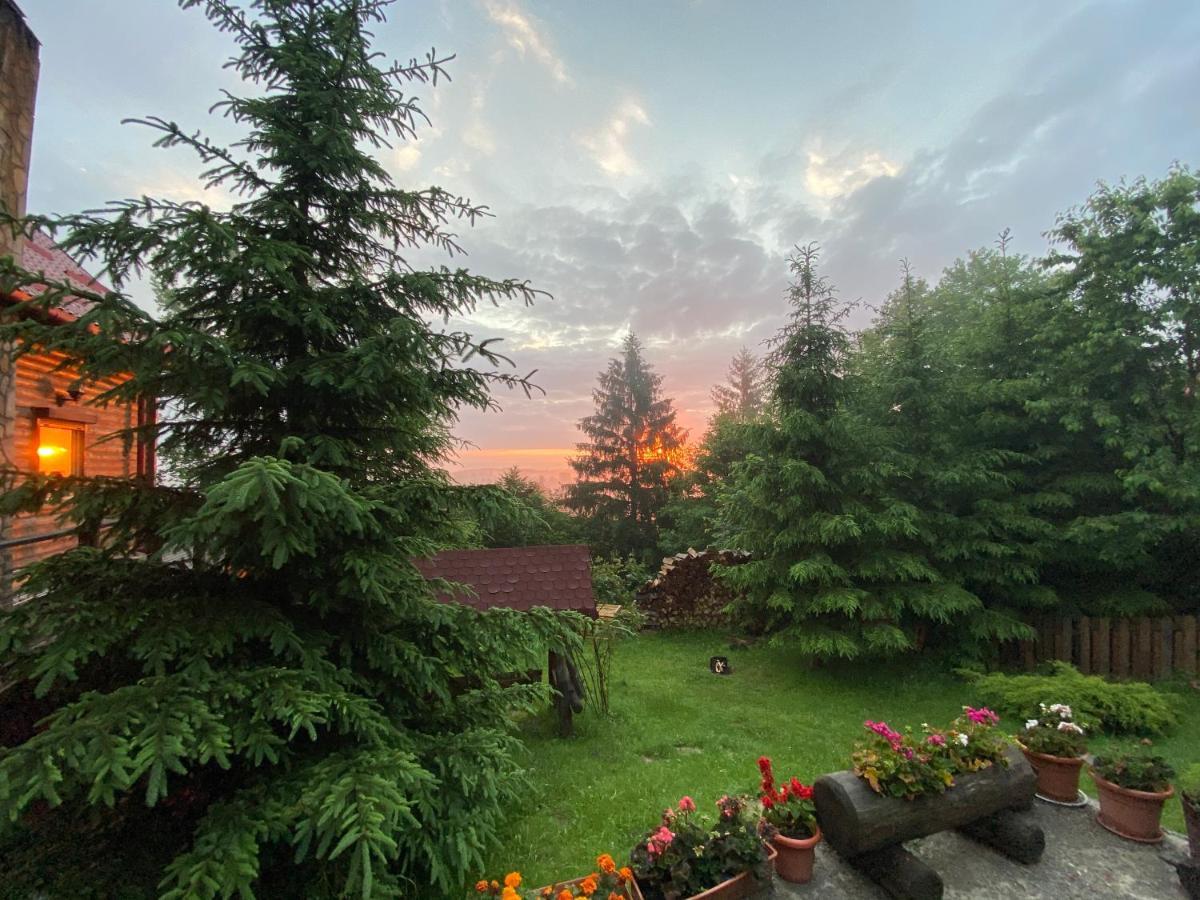 Carpathian Log Home Bran  Exterior foto